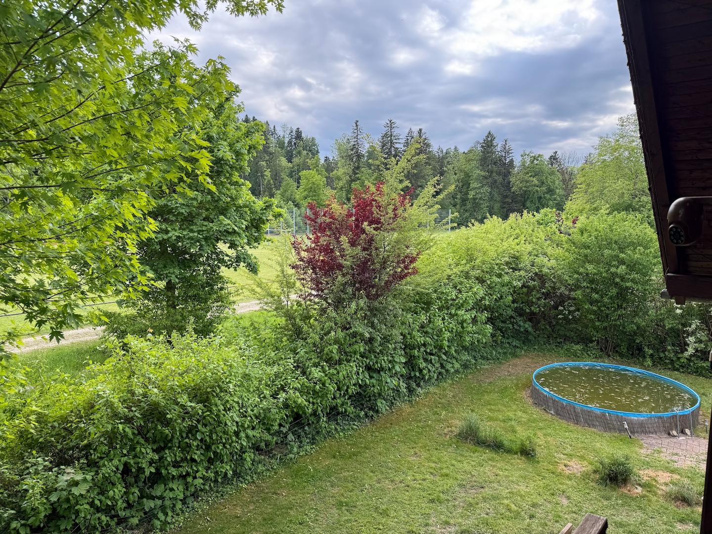 Blick vom Balkon