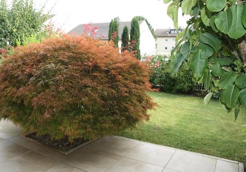 Terrasse und Garten