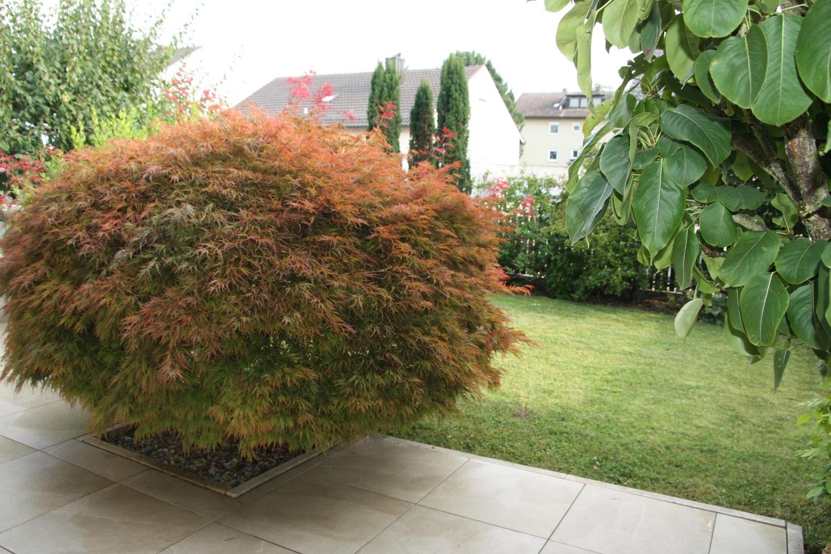 Terrasse und Garten