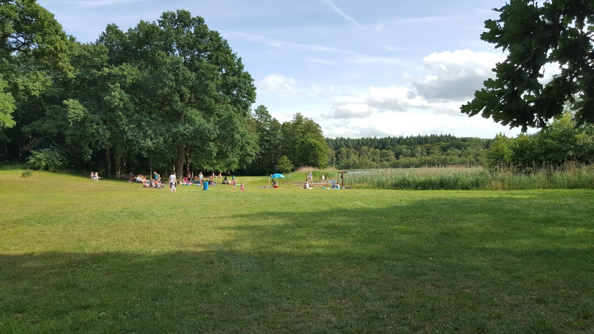 Ganz nah Wiese am See Rothemühl