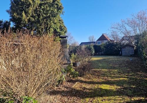 Blick in den Garten