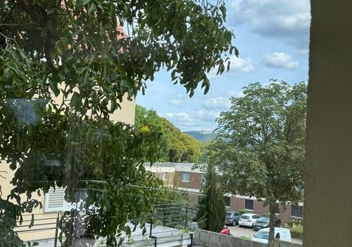 Ausblick zum Petersberg