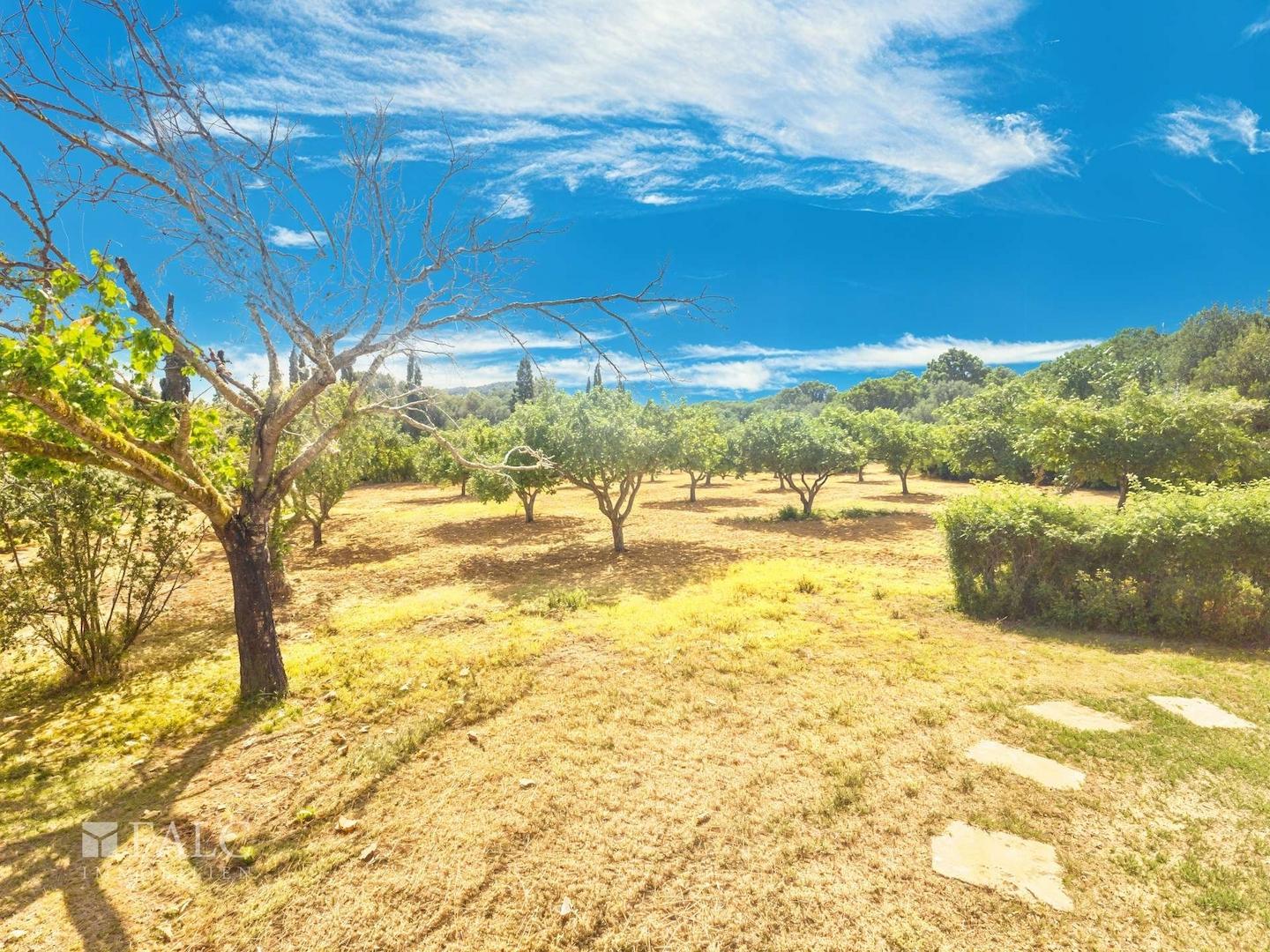 Garten