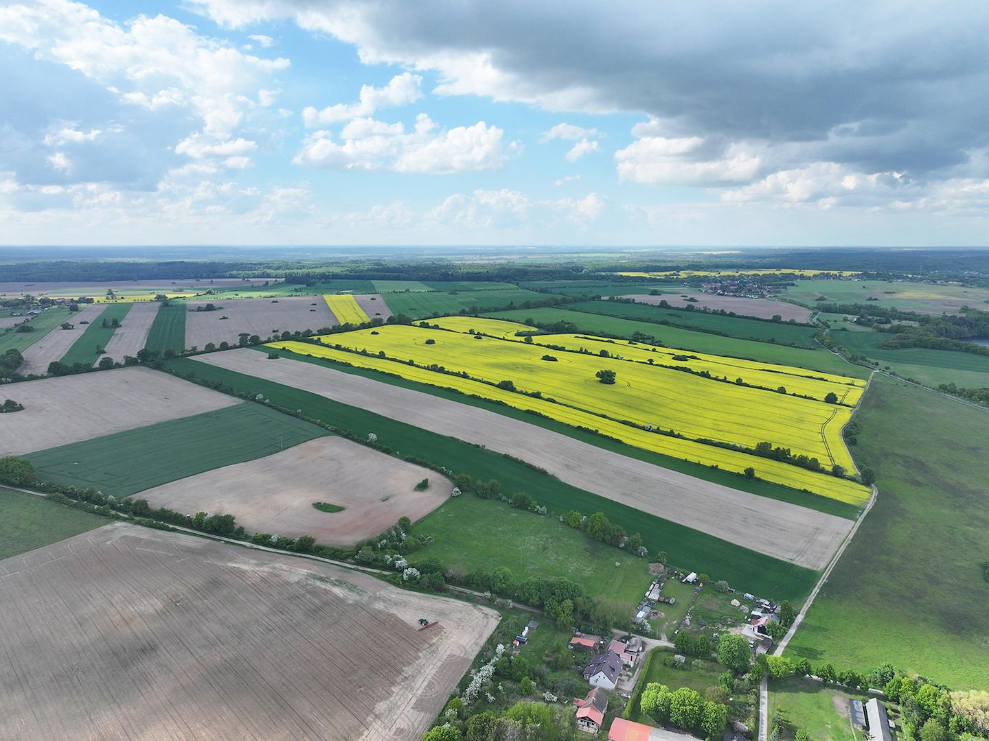 Blick Richtung Norden 