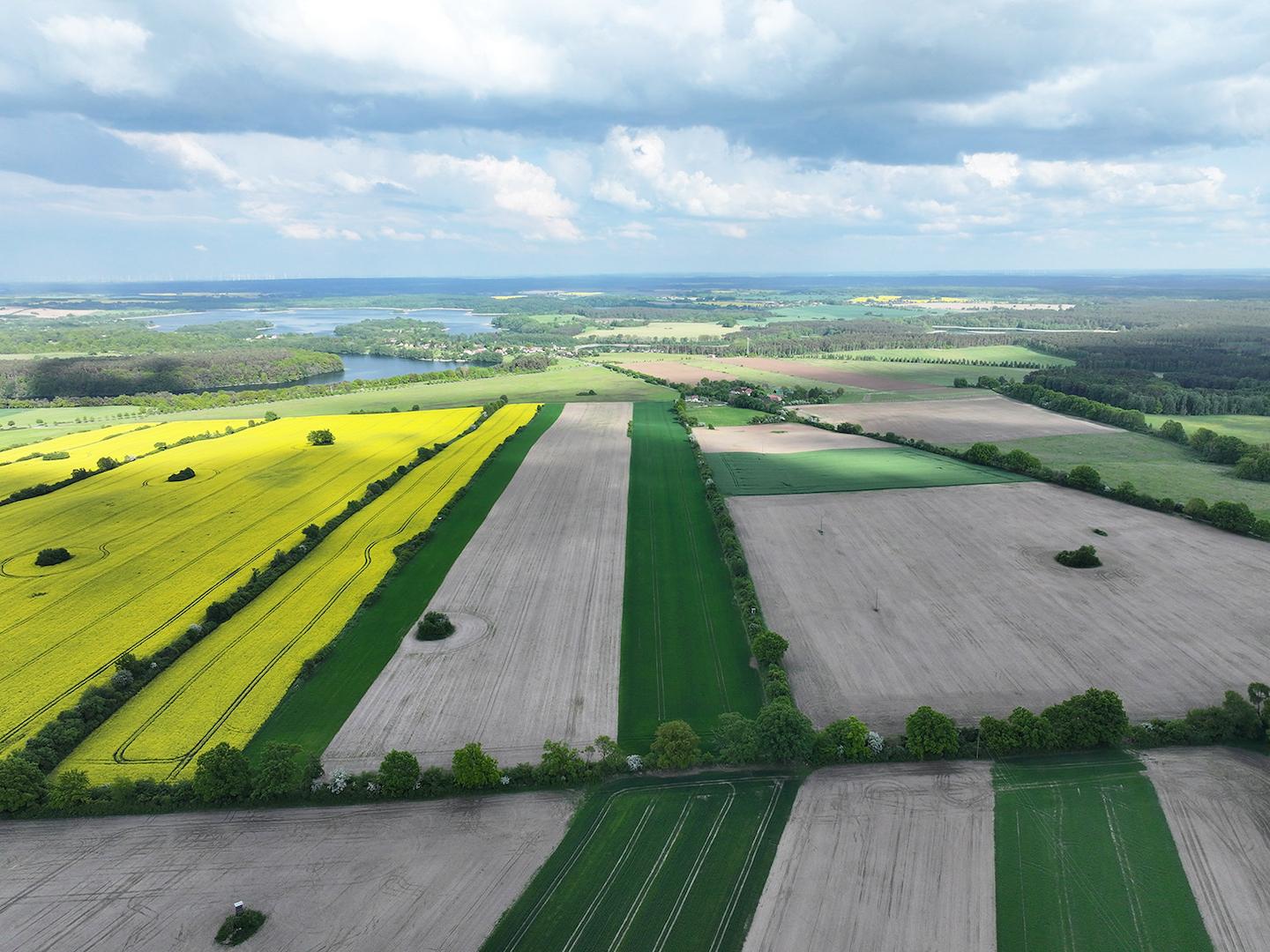 Blick Richtung Osten 