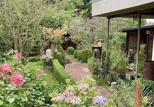 Blick in den Garten 