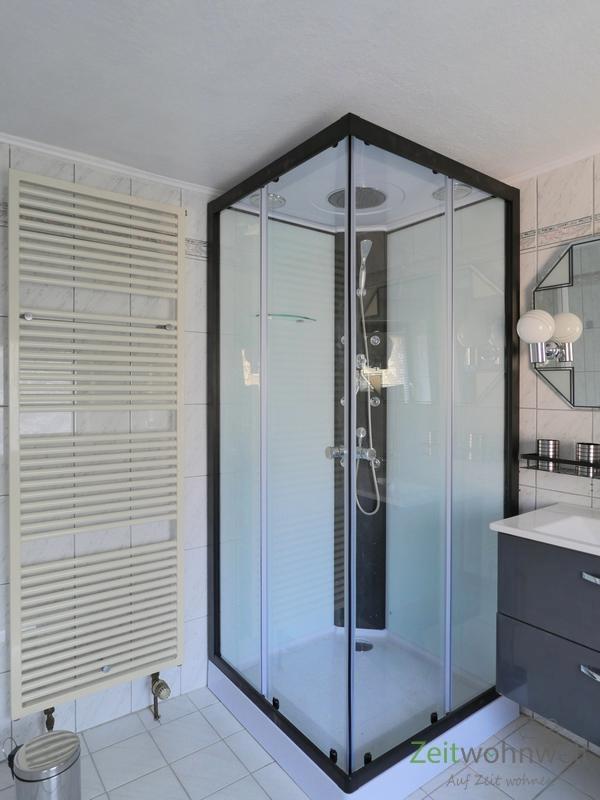 Dusche und Handtuchheizkörper
