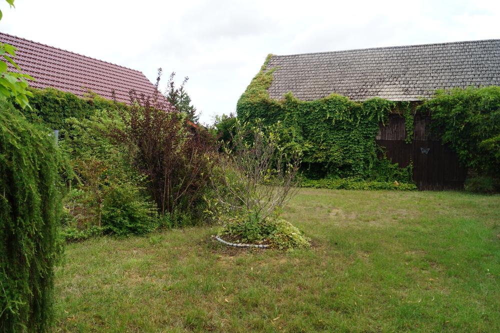 Gartenfläche 