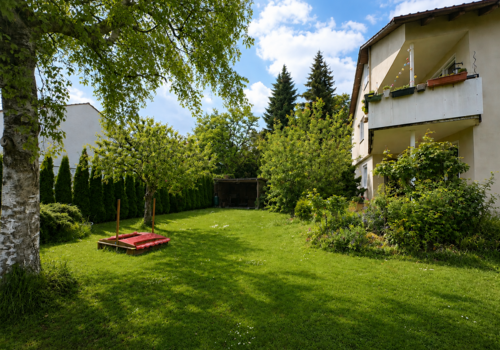 Blick in den Garten
