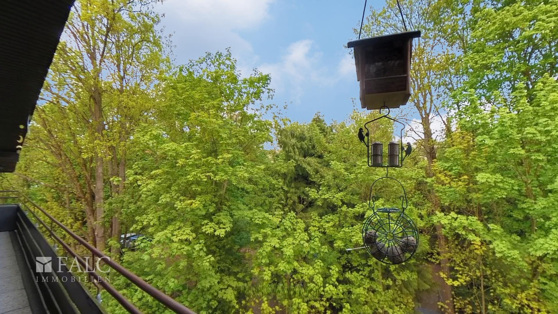 Blick nach hinten raus