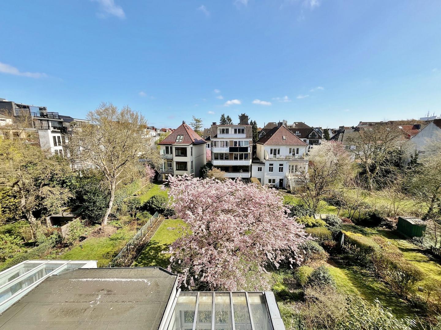 Blick vom Balkon