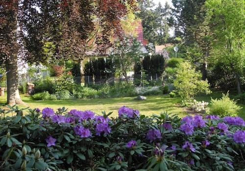 Gartenblick aus Wohnraum EG 3