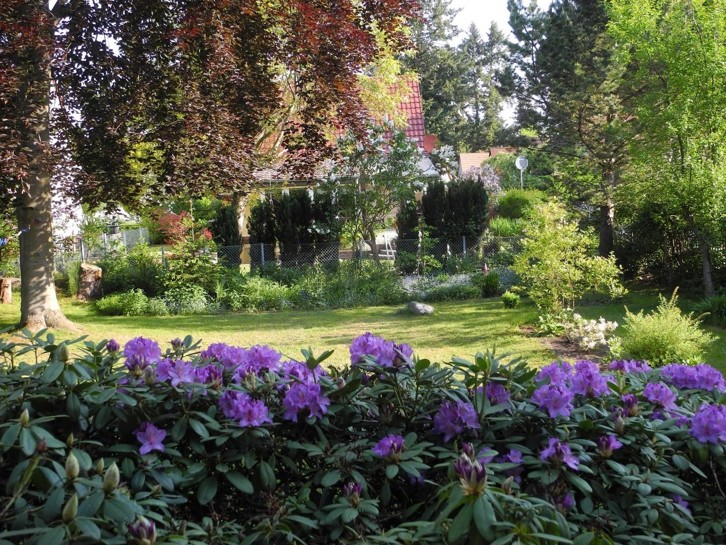 Gartenblick aus Wohnraum EG 3