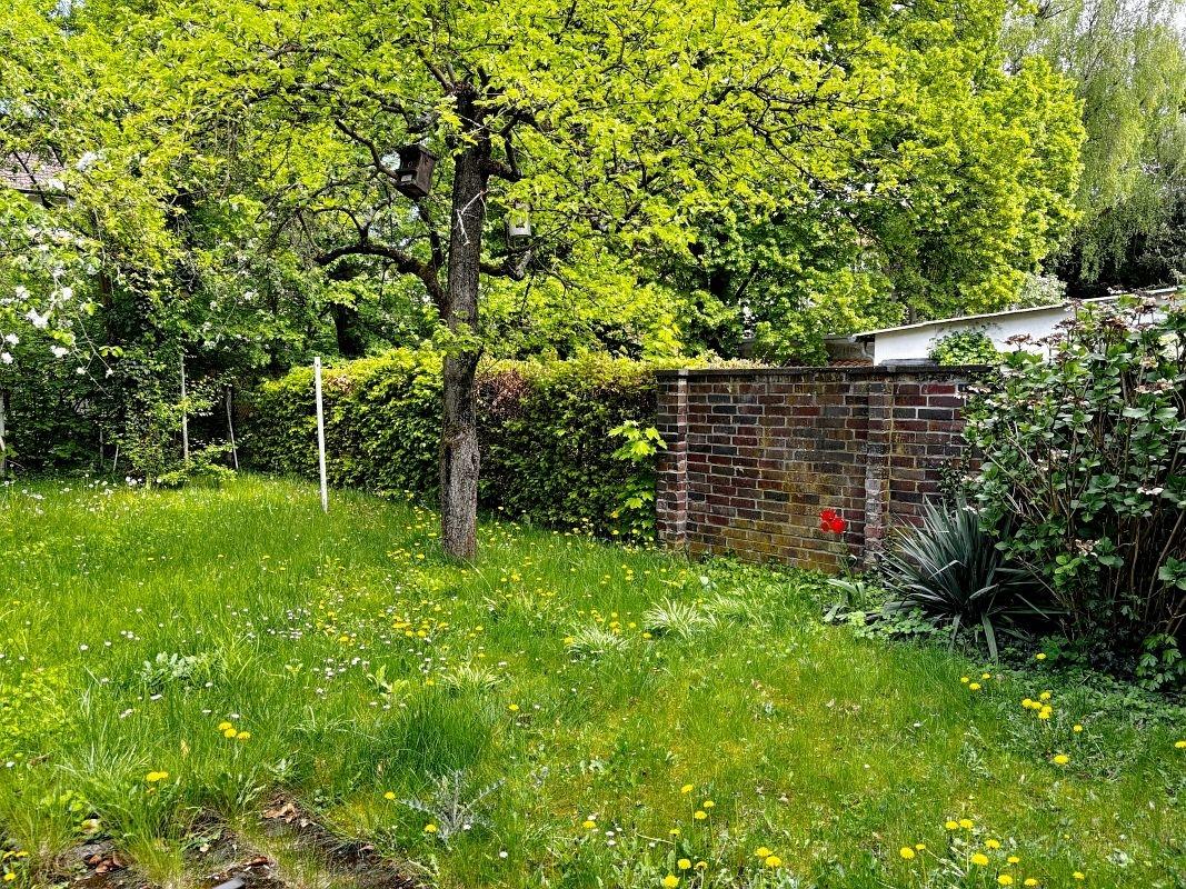 Gemeinschaftsgarten