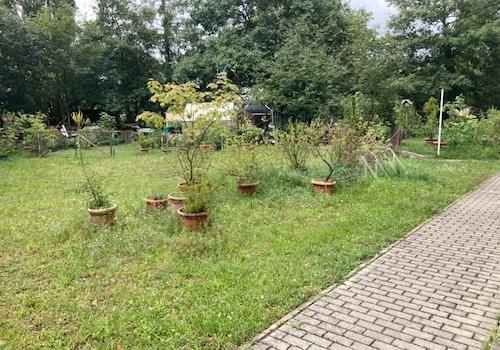 Garten zur gemeinschaftlichen Nutzung