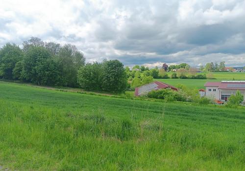 Umgebung