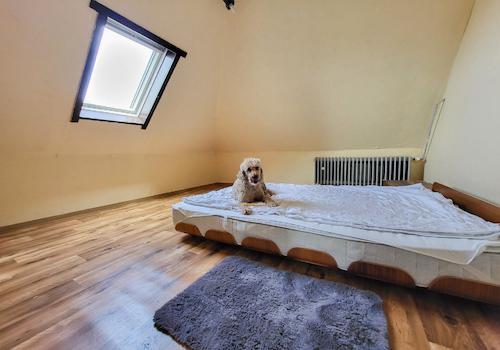 2. Schlafzimmer Dachgeschoss 