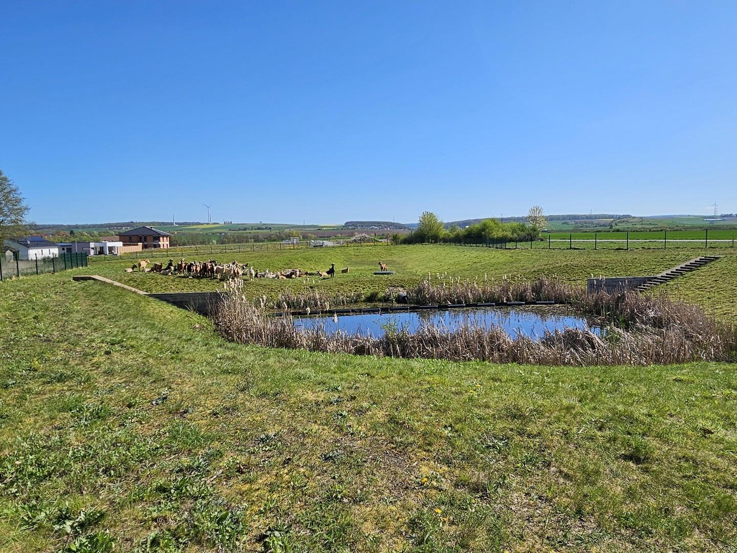 Herrliche Lage im Süden
