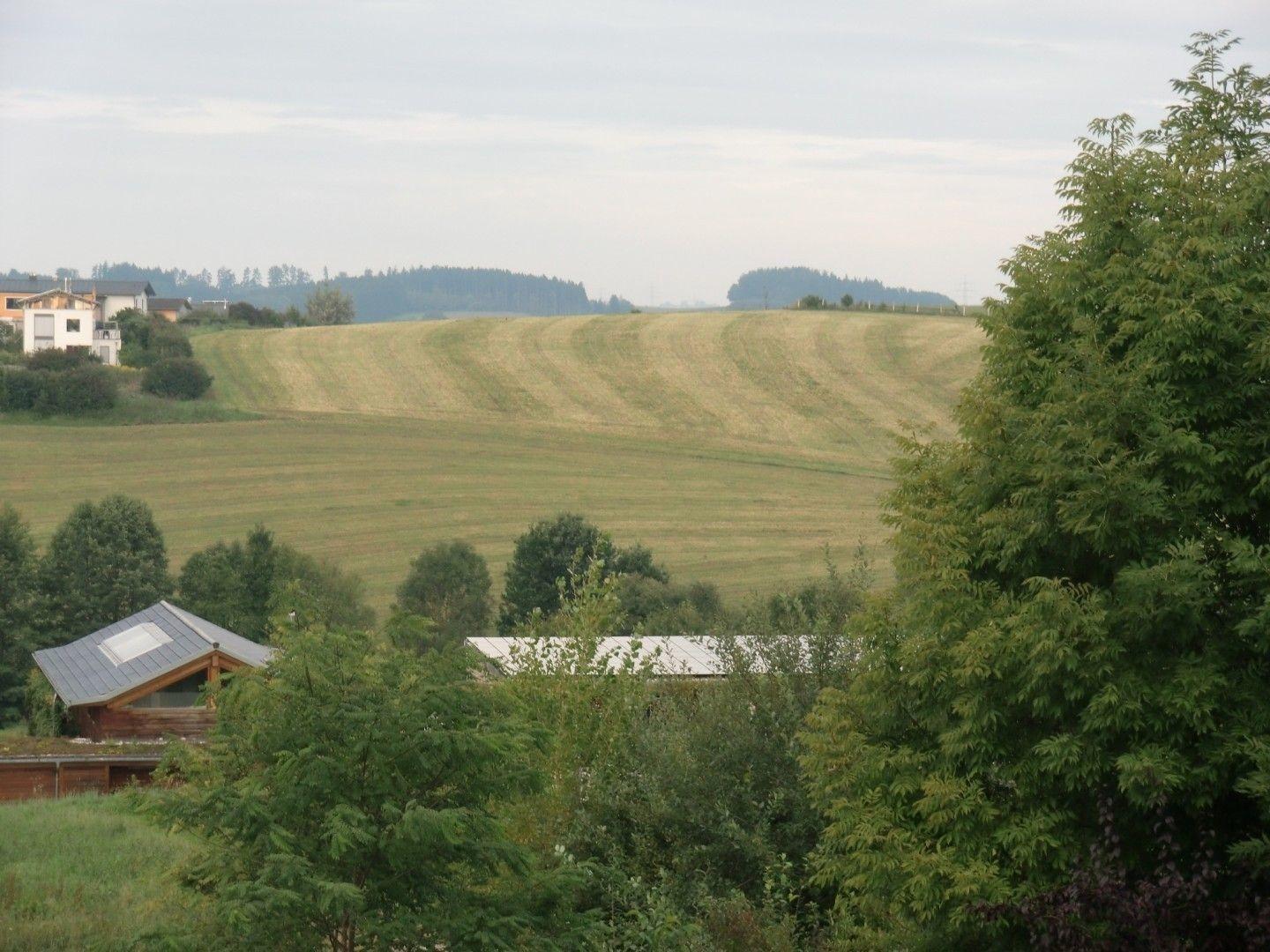 Toller Ausblick 