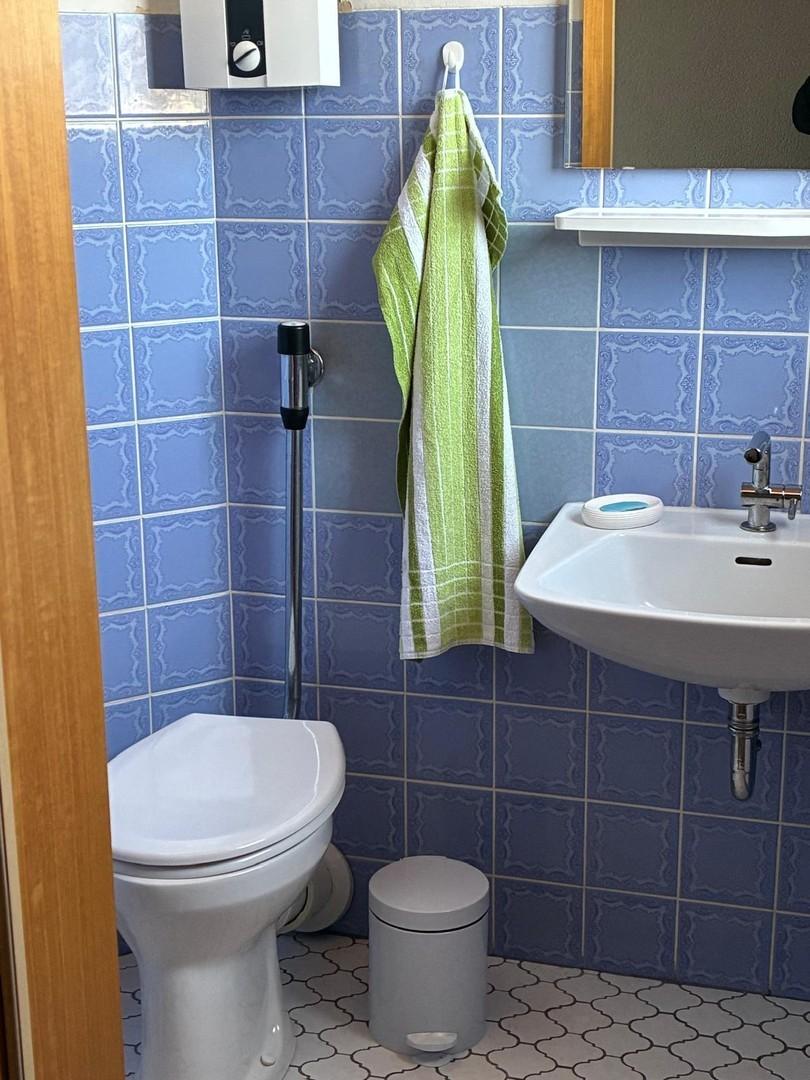 Gäste WC EG