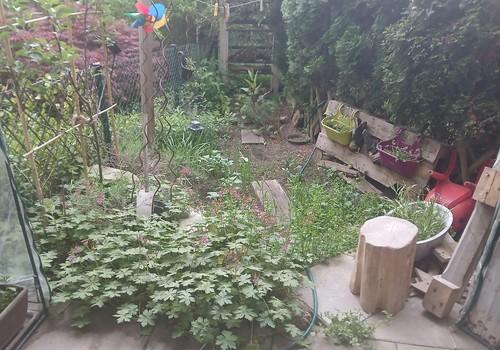 Garten