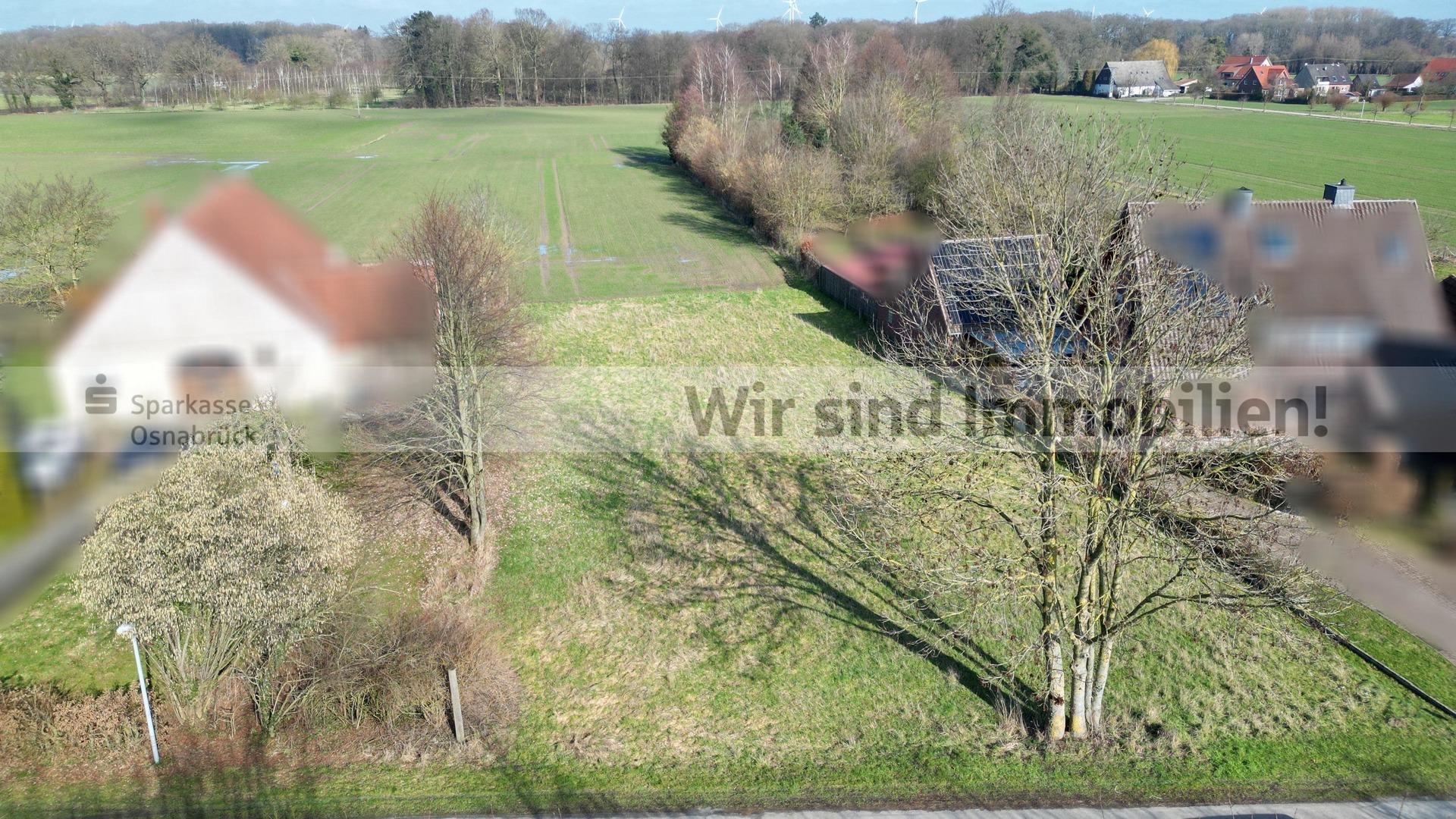 Frontansicht