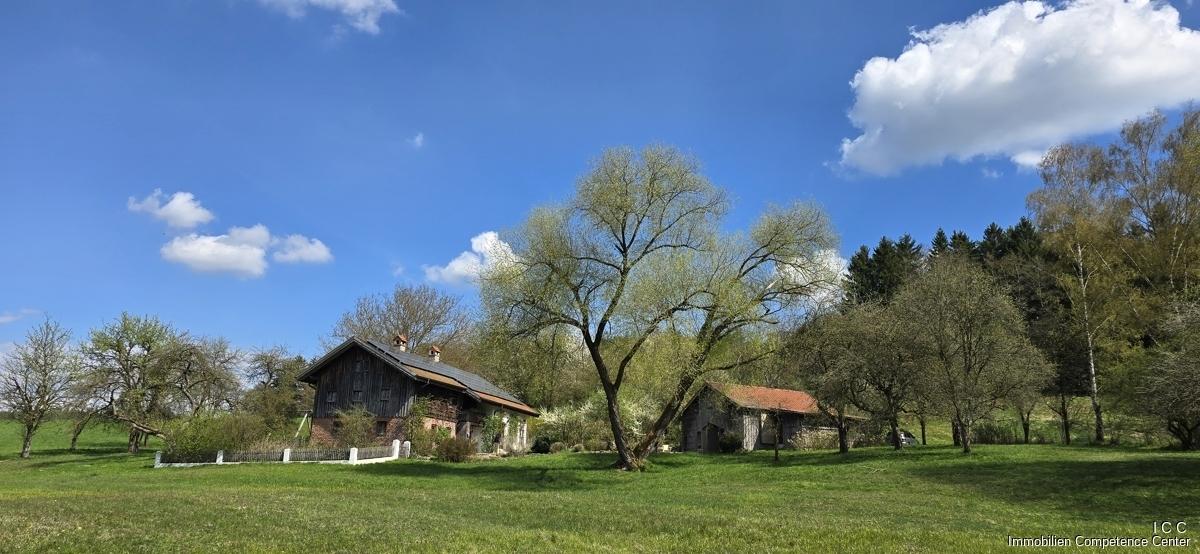 Geretsham 9_17.04.2026_ (17)
