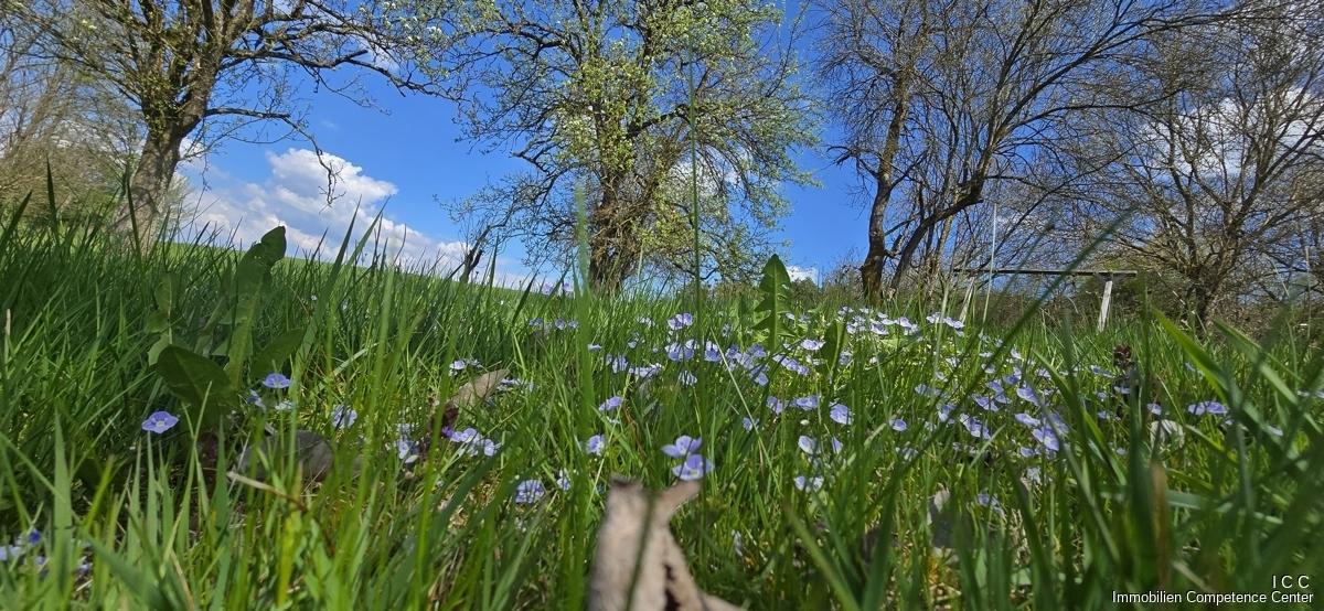 Geretsham 9_17.04.2026_ (3)