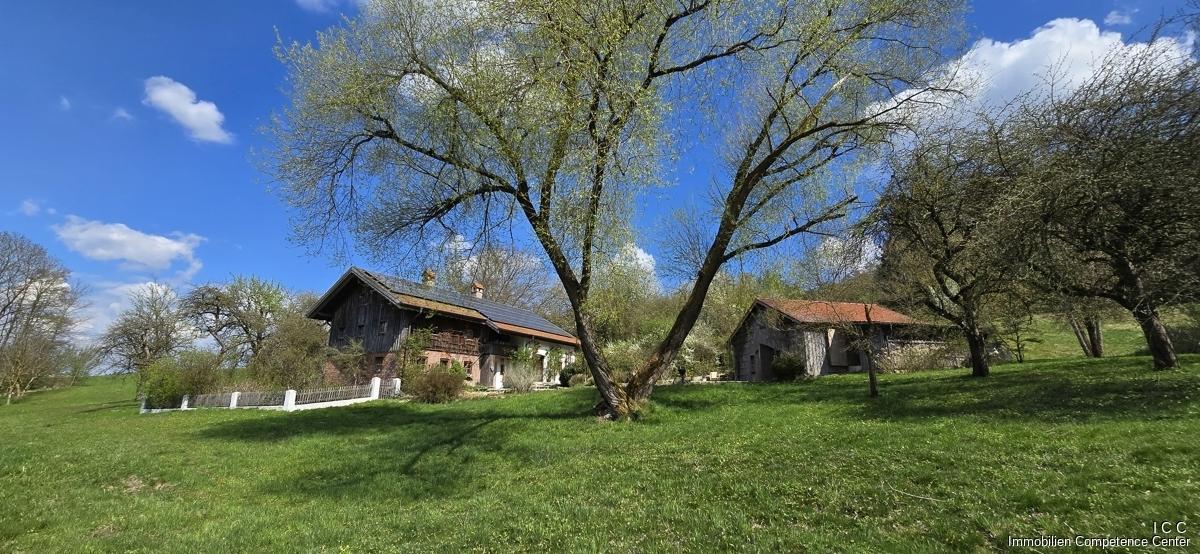 Geretsham 9_17.04.2026_ (18)