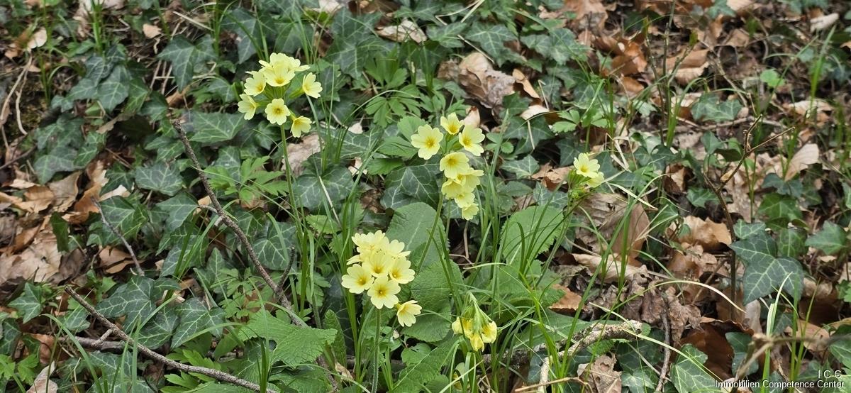 Geretsham 9_17.04.2026_ (39)
