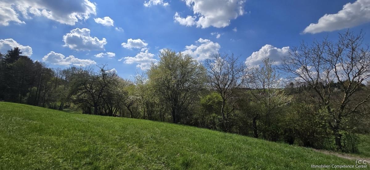 Geretsham 9_17.04.2026_ (43)