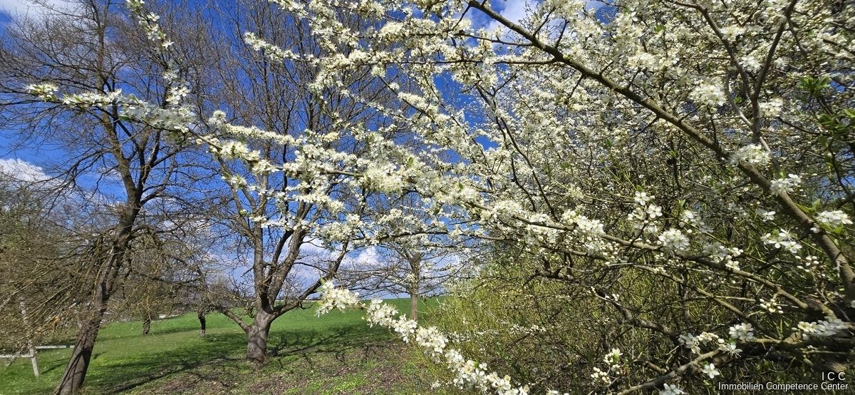 Geretsham 9_17.04.2026_ (25)