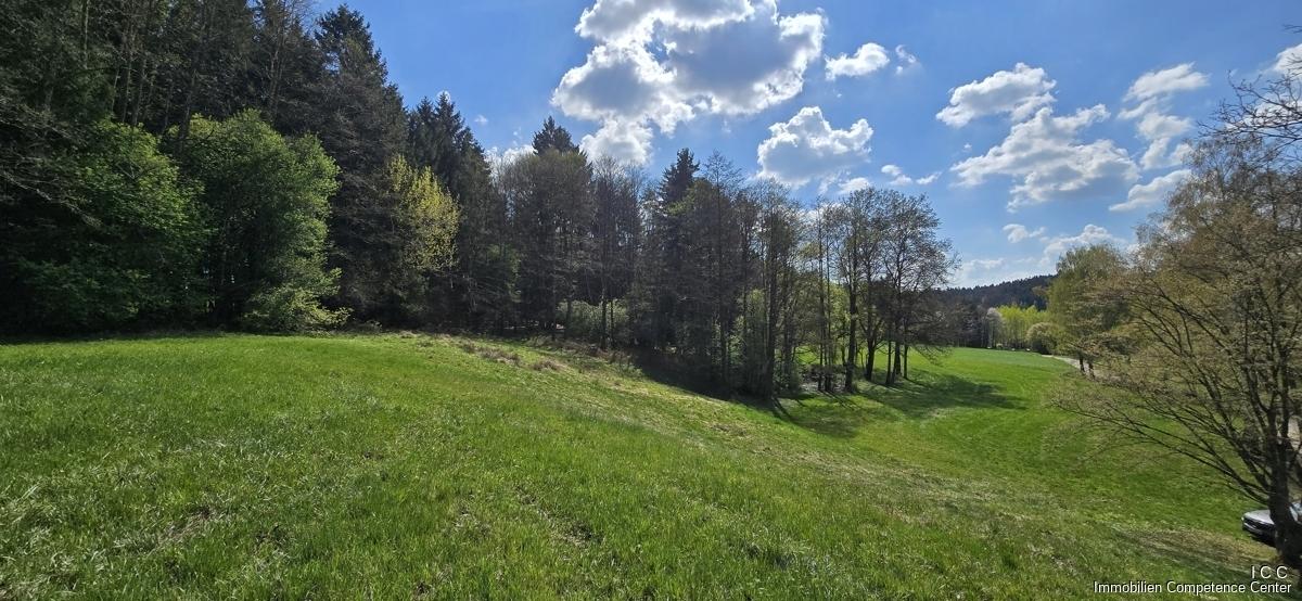 Geretsham 9_17.04.2026_ (40)