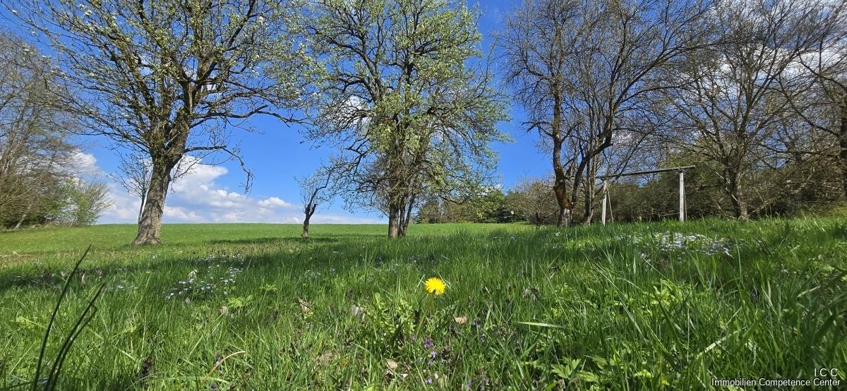 Geretsham 9_17.04.2026_ (2)