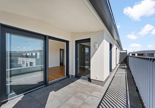 Südliche Dachterrasse + Loggia