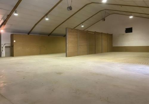 Bild/Grundriss 4