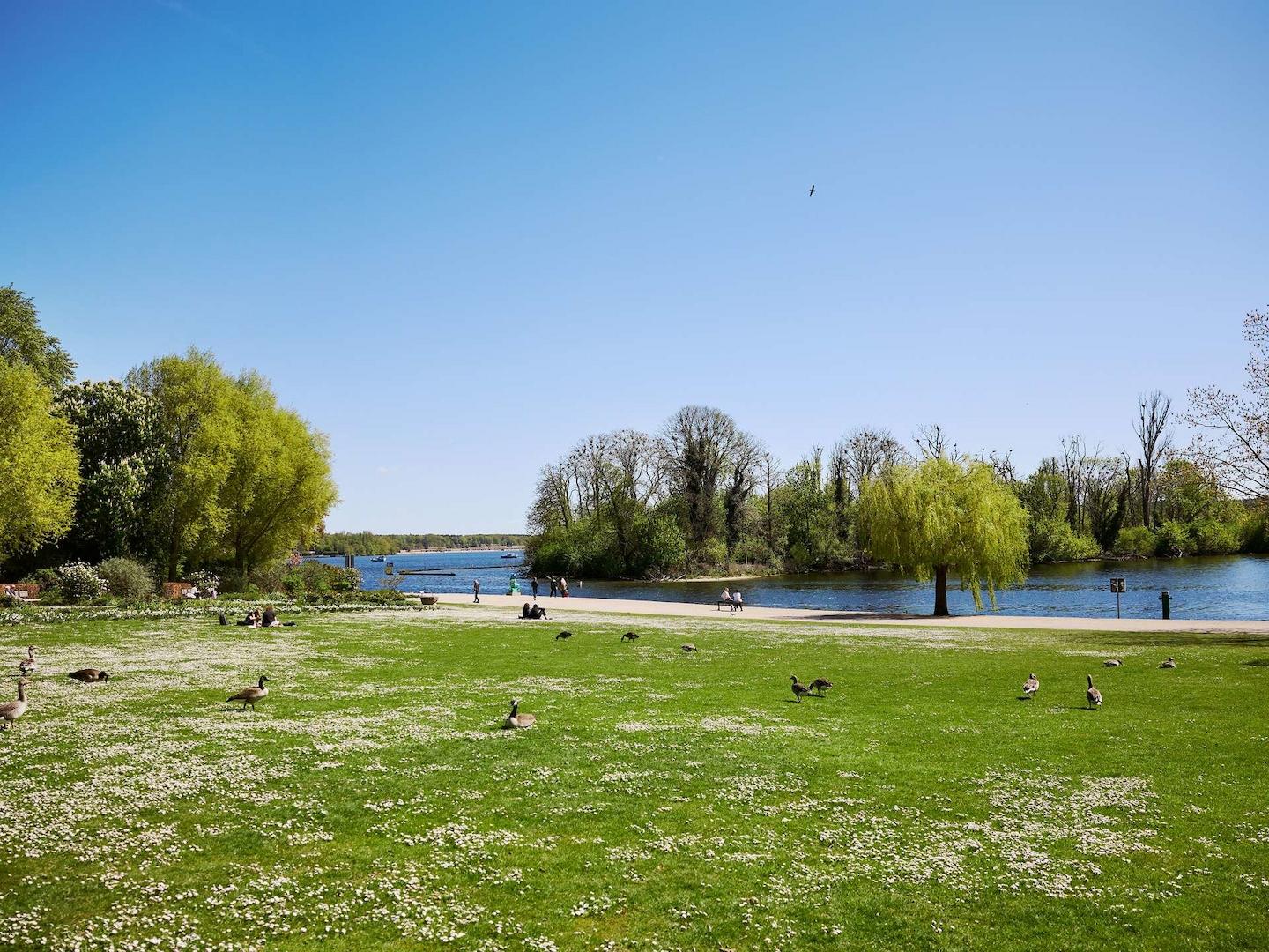 Park