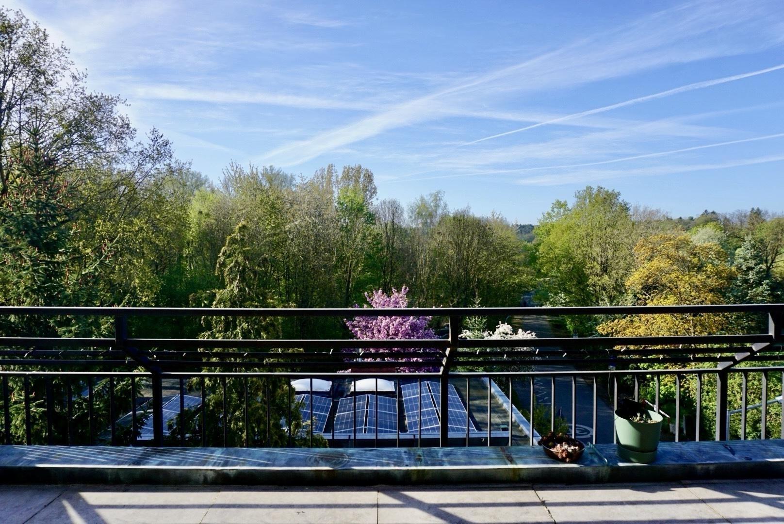 Terrasse mit Blick ins Grüne