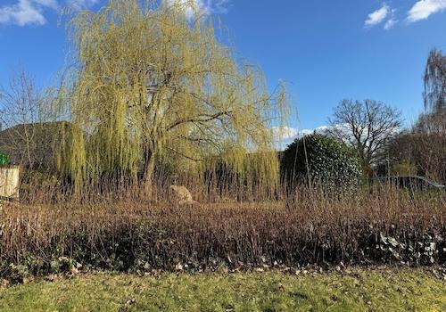großer Garten