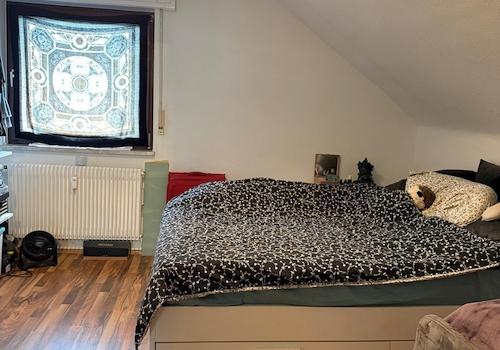 Zimmer DG
