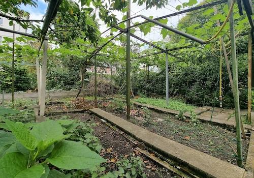 Garten 
