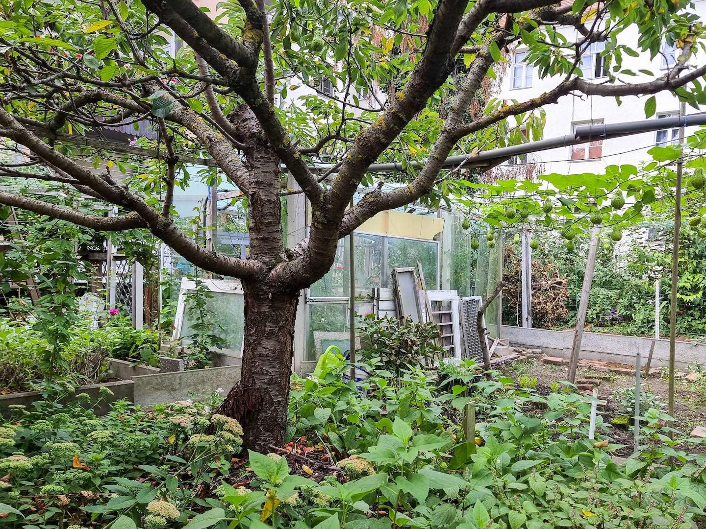 Garten 