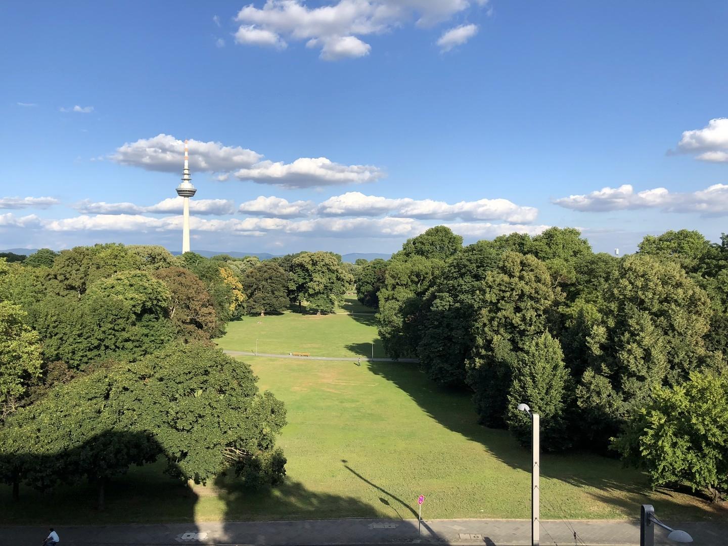 Blick aus dem Wohnzimmer/Küche