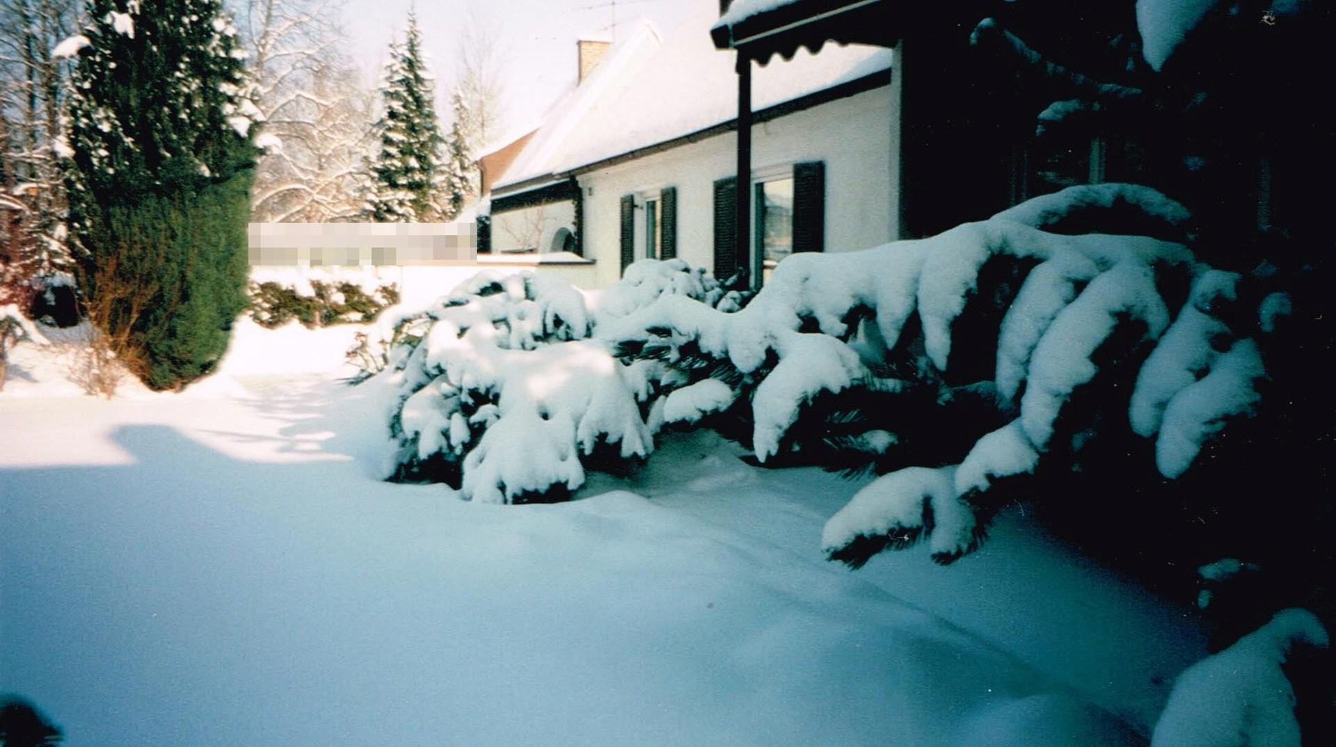 Garten-Haus-Vorne-Winter