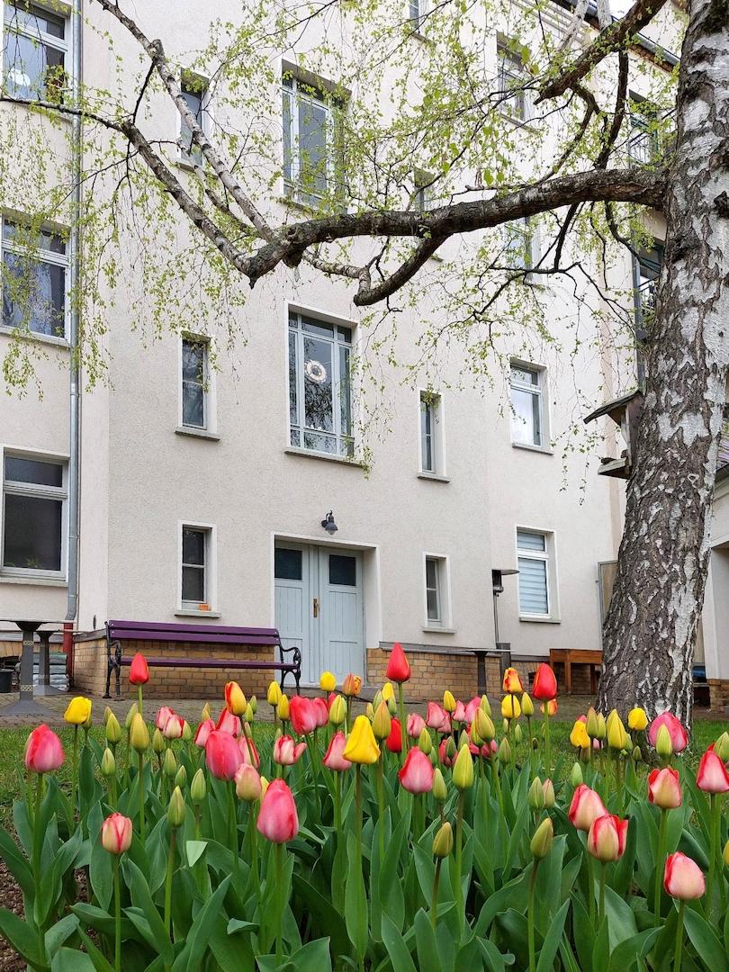 Leipzig - Mockau-Süd | Gartenseite