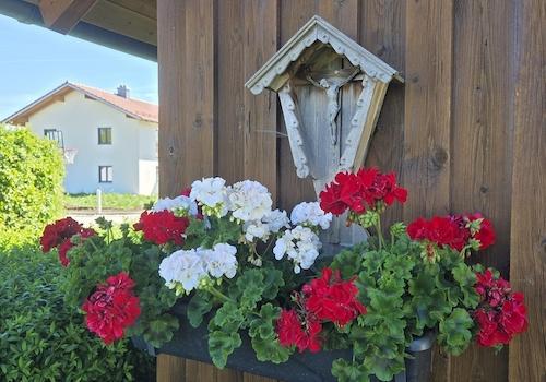 Gartebimpressionen