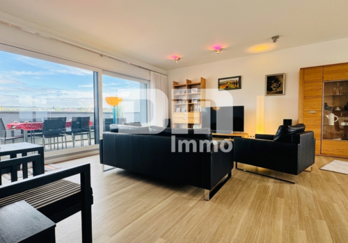 Wohn / Esszimmer / 4x Zugang Dachterrasse