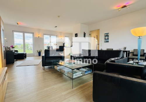 Wohn / Esszimmer / 4x Zugang Dachterrasse