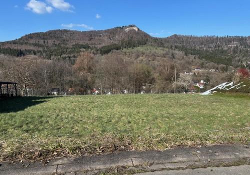 Bild_1