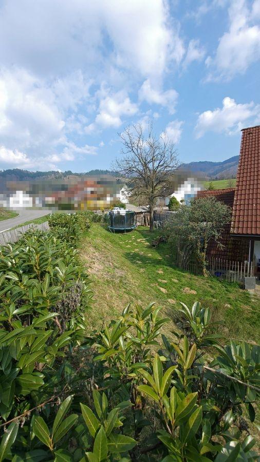 Garten_1